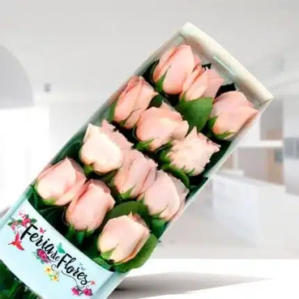 Box of 12 Pink Roses